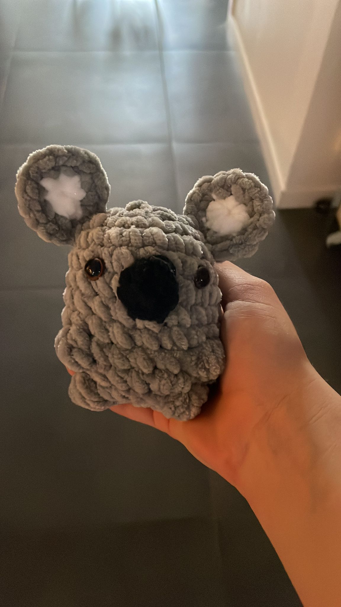 Kokola le koala